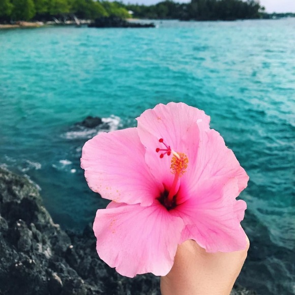 ✰ ♡ ✰ - Picture 1 of 1